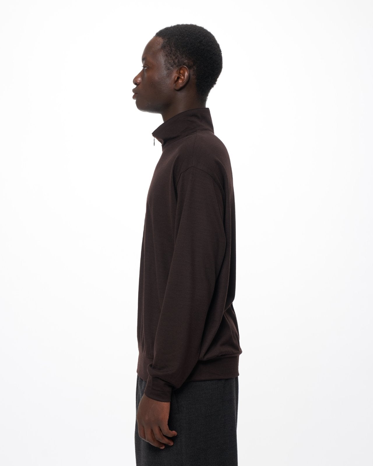 スーパー100s ウォッシャブルウール天竺 / ハーフジップスタンド, Dark Brown
