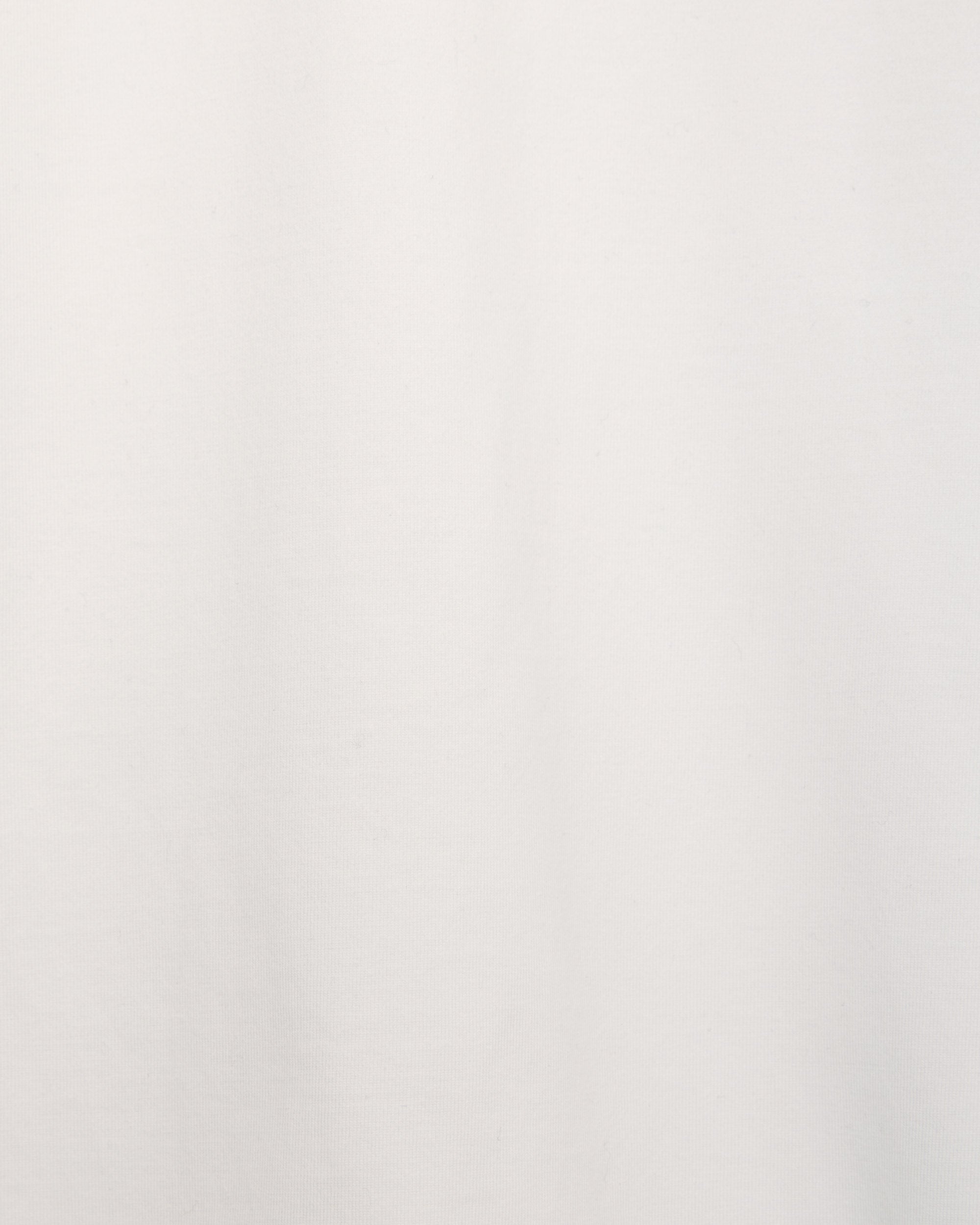 オーガニックGIZA 60/3天竺 サバイバルクロス® / L/SリラックスフィットTee, White